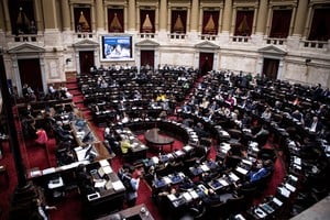 (240429) -- BUENOS AIRES, 29 abril, 2024 (Xinhua) -- Legisladores participan en una sesión convocada por el oficialismo para tratar el proyecto de ley "Bases y Puntos de Partida para la Libertad de los Argentinos" en la Cámara de Diputados del Congreso Nacional, en la ciudad de Buenos Aires, capital de Argentina, el 29 de abril 2024. El pleno de la Cámara de Diputados de Argentina comenzó el lunes a tratar un proyecto de ley que impulsa el Gobierno del presidente Javier Milei sobre modificaciones en sectores económicos, financieros, laborales y sociales, iniciativa que es considerada clave por el Ejecutivo. (Xinhua/Martín Zabala) (mz) (oa) (ah) (vf)