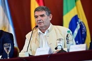 El salteño Alfredo Olmedo en una sesión del Parlamento del Mercosur.