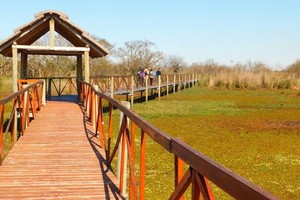 El plan de manejo comenzó a ser trabajado en el año 2018 por equipos técnicos de la Secretaría de Ambiente y Espacio Público del municipio, junto a un equipo de profesionales designado por la Facultad de Ciencias Agrarias de la Universidad Nacional de Rosario.