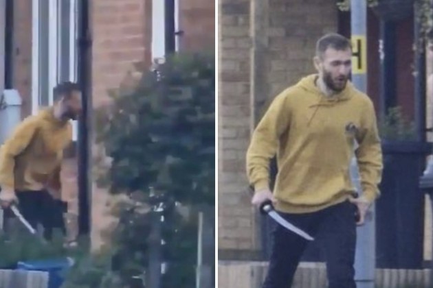 Video: chocó una camioneta contra una casa y apuñaló a cinco personas en Londres