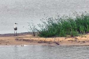 Una postal típica de Santa Fe y sus ríos. Foto: Fernando Nicola