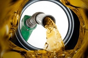El Gobierno anunció a través del boletín oficial la postergación de la actualización de los impuestos sobre los combustibles.