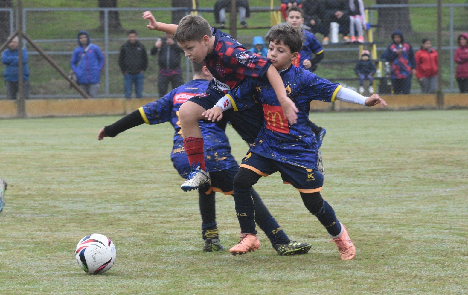 El Quillá La Perla categoría 2013