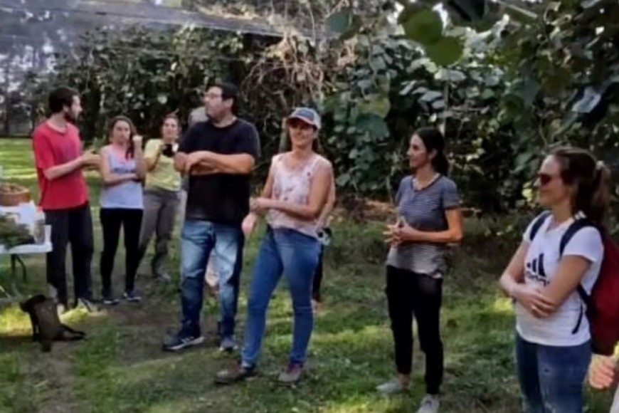 Dos hectáreas que producen 4 mil kilos cada una.