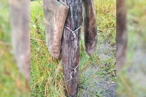 Imágenes dieron cuenta del salvajismo con el que actuaron los delincuentes.