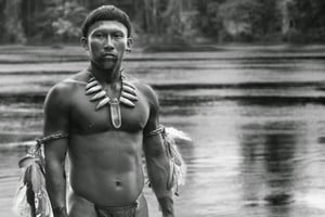 Karamakate fue en su día un poderoso chamán del Amazonas; es el último superviviente de su pueblo y vive en lo más profundo de la selva. Sobre él se centra "El abrazo de la serpiente". Foto:  Ciudad Lunar Producciones