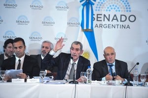 El secretario de Energía, Eduardo Rodríguez Chirillo,  expuso ante la reunión plenaria de comisiones del Senado que trata la ley de Bases y Puntos de Partida para la Libertad de los Argentinos.