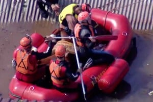 Video: rescataron a la yegua que se hizo viral en las inundaciones del sur de Brasil