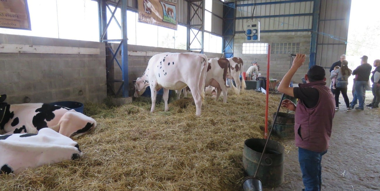 La muestra cordobesa fue un 60% más grande que la edición anterior realizada en Esperanza. Foto: Campolitoral