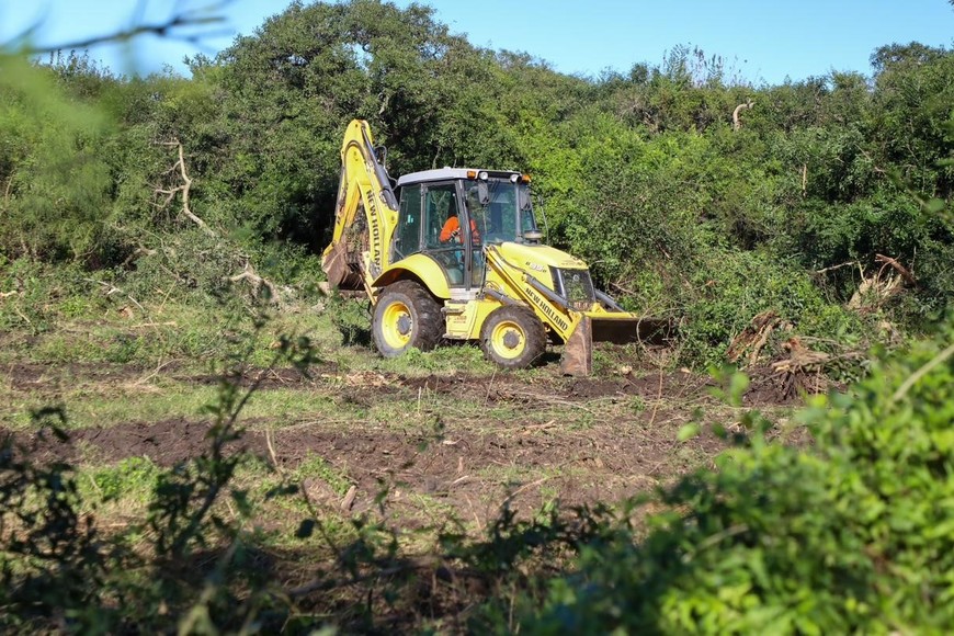 Retro. La máquina trabaja en el campo a donde buscan cuerpos enterrados de forma clandestina durante la dictadura.

Gentileza.