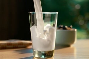 Las proteínas de la leche se denominan completas y de buena calidad porque aportan todos
los aminoácidos esenciales, necesarios para el desarrollo de tejidos y órganos.