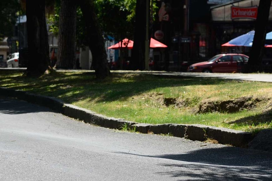 Frente a la Plaza Pueyrredón, entre calles Sarmiento y Alberdi. El pavimento y parte del cantero central se hunden. Según dicen, no sería un problema de la cloaca máxima. Foto: Luis Cetraro