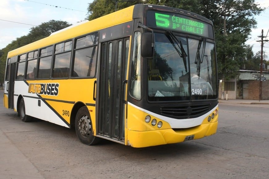 Foto: Manuel Fabatía