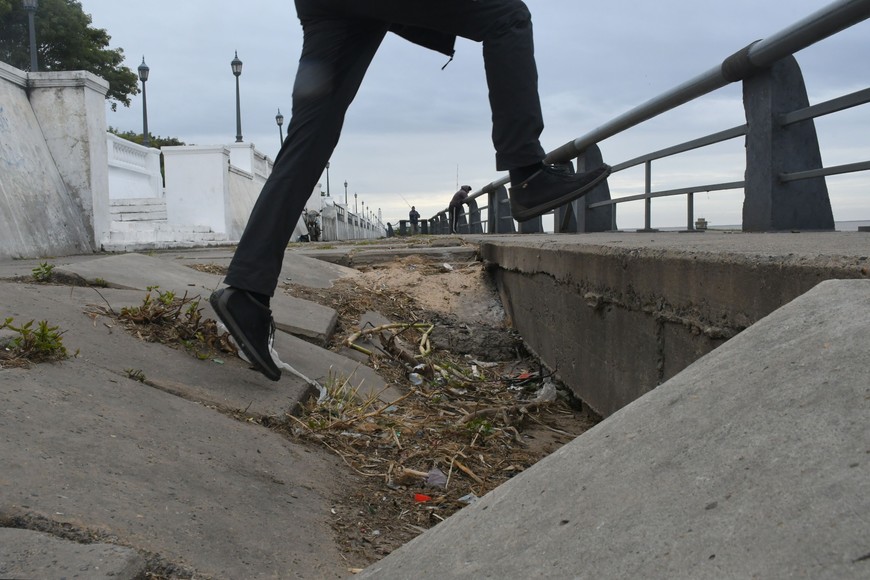 Extracción. La tierra utilizada era retirada de la isla, en Colastiné Sur, pero con la crecida del río se cubrió de agua y ahora buscan una alternativa.

Fernando Nicola.