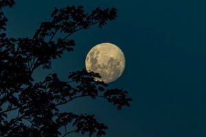 Las “Full Moon Sessions” son encuentros que se realizan cuando hay Luna llena