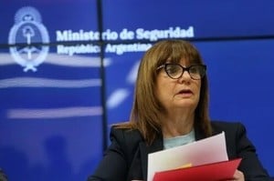La decisión fue adoptada a través de la Resolución 710 publicada hoy en el Boletín Oficial firmada por la ministra de Seguridad, Patricia Bullrich.