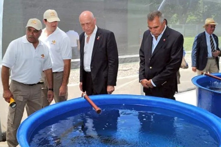 La iniciativa propone regular toda la actividad, desde el pez en su hábitat, hasta su extracción.