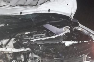 Afortunadamente los ocupantes del coche no sufrieron lesiones, de acuerdo a lo constatado por el personal del SIES 107 que los asistió en la misma autopista y hasta el momento no se había podido dar con el dueño del animal.