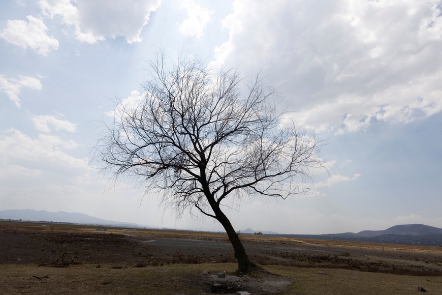 CREDITO: REUTERS/Quetzalli Nicte-Ha