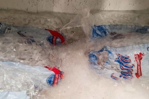 “En temporada de altas temperaturas OXXO implementa medidas con el objetivo de asegurar el abasto de productos para nuestros clientes”, dijo la empresa en un comunicado. “La venta de bolsas de hielo en cantidad limitada busca que un mayor número de clientes pueda comprar este producto”.