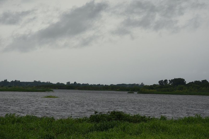 El buen registro de precipitaciones de los últimos meses, sumado al nivel del río en condiciones normales, reducen las áreas donde antes era más propicio la expansión de las quemas de pastizales. Foto: Guillermo Di Salvatore