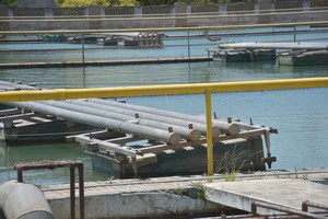 Imagen ilustrativa. Crédito: Flavio Raina