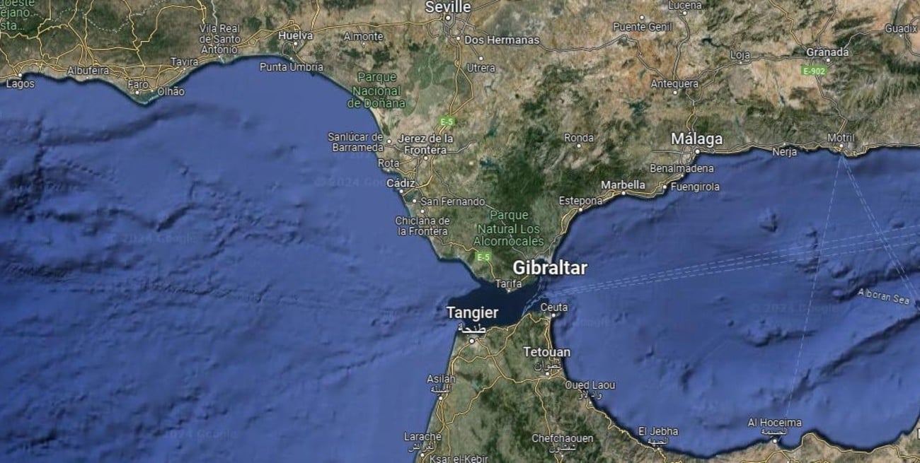 ¿Por qué las orcas hunden barcos en el Estrecho de Gibraltar?