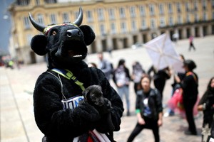 Colombia prohibió las corridas de toros en medio de críticas de sectores sociales