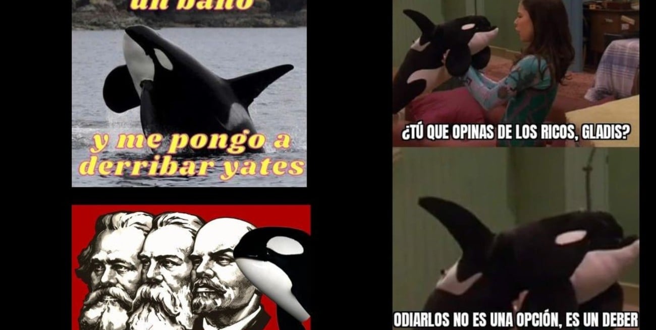 ¿Por qué las orcas hunden barcos en el Estrecho de Gibraltar?
