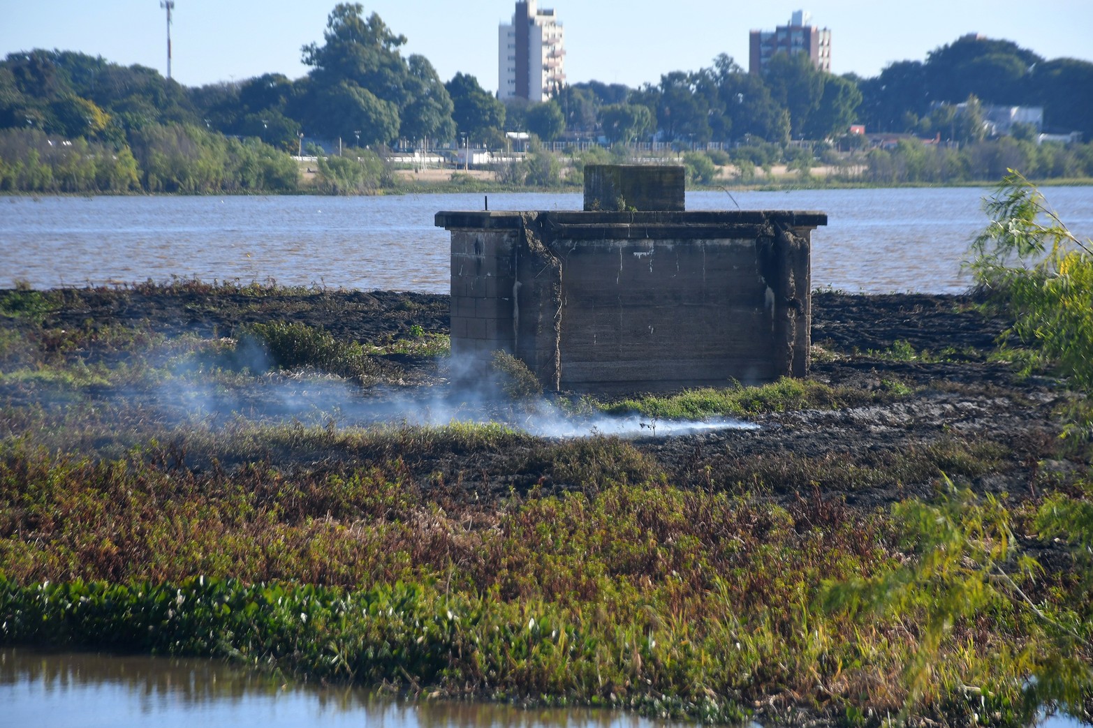 Así quedó el embalsado de la laguna Setúbal tras el incendio de este martes por la noche. Las llamas afectaron prácticamente la mitad de la vegetación acuática que se formó en ese sector.