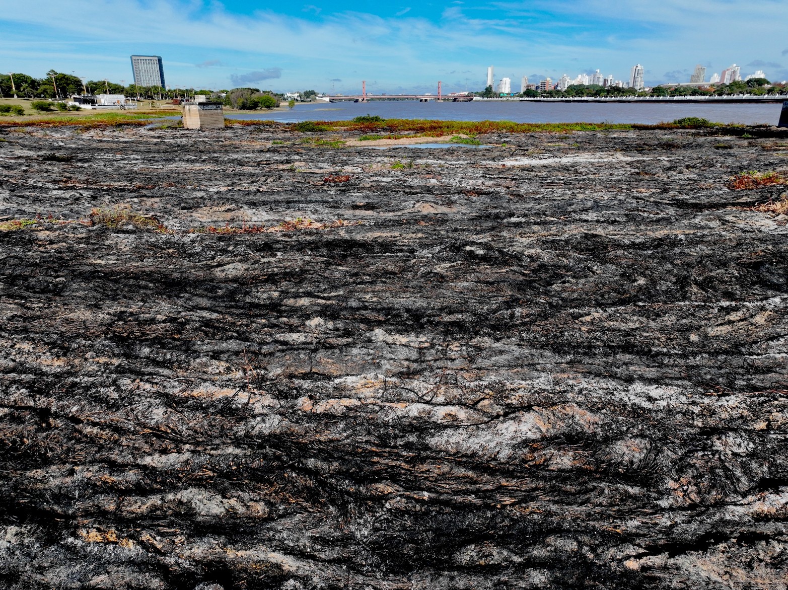 Así quedó el embalsado de la laguna Setúbal tras el incendio de este martes por la noche. Las llamas afectaron prácticamente la mitad de la vegetación acuática que se formó en ese sector.