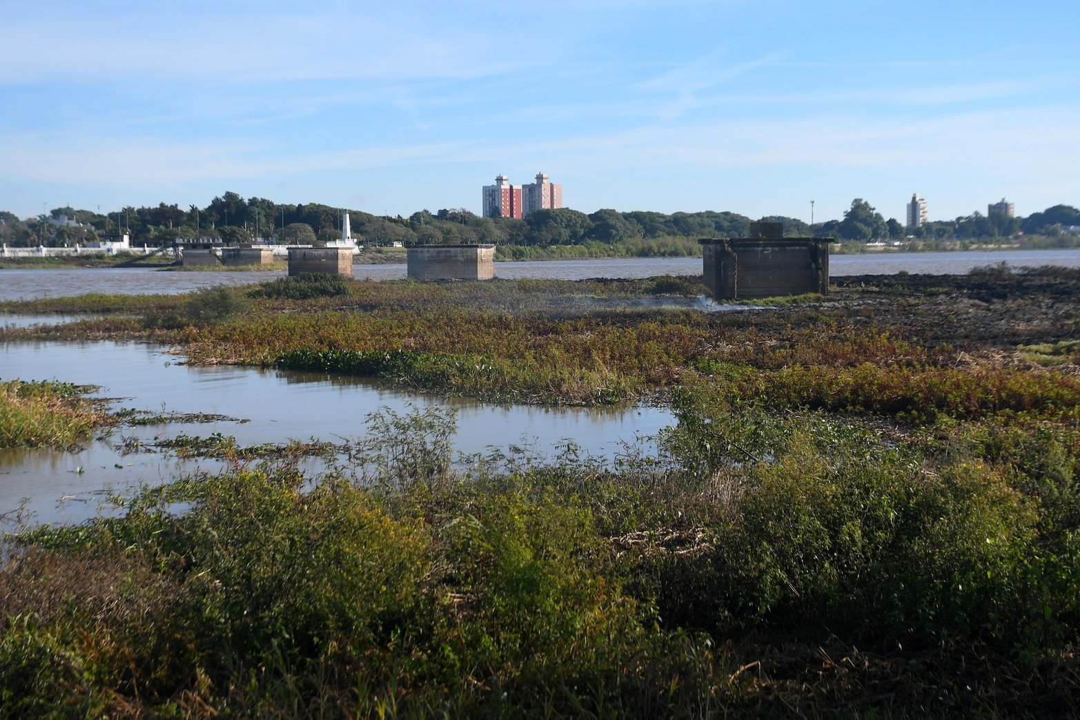 Así quedó el embalsado de la laguna Setúbal tras el incendio de este martes por la noche. Las llamas afectaron prácticamente la mitad de la vegetación acuática que se formó en ese sector.