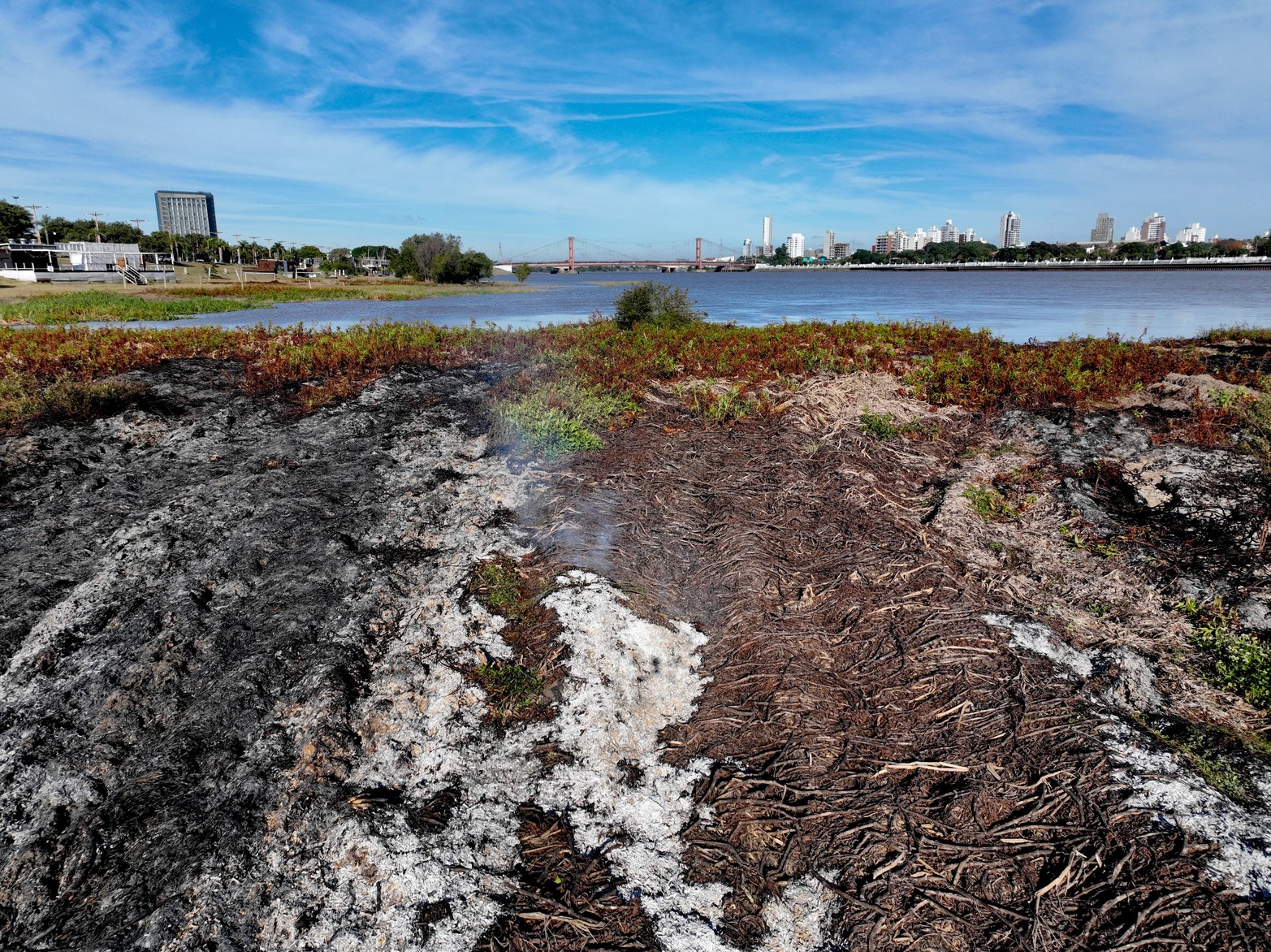 Así quedó el embalsado de la laguna Setúbal tras el incendio de este martes por la noche. Las llamas afectaron prácticamente la mitad de la vegetación acuática que se formó en ese sector.