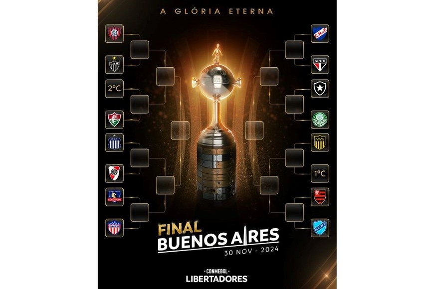 libertadores