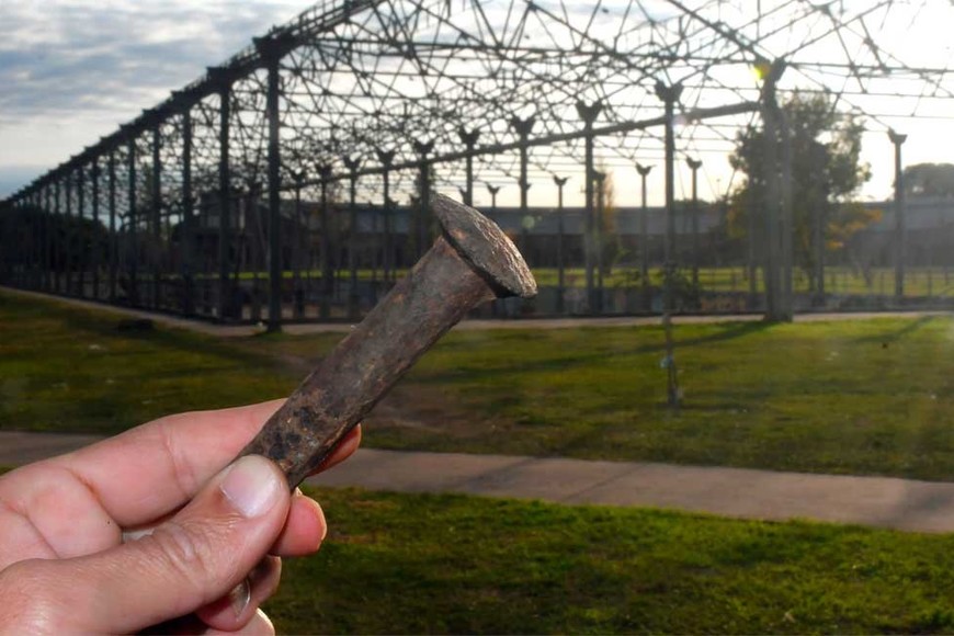 El elemento fue hallado en cercanías a calle Quintana, que cruza el parque de Este a Oeste. Foto: Flavio Raina