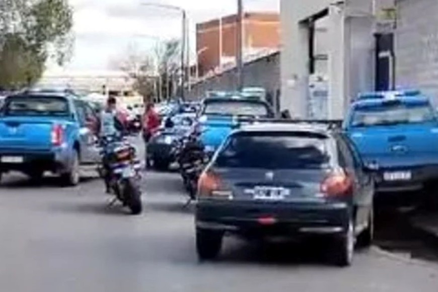 La habilidad del dueño los atrapó.