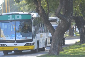Los principales objetivos del Fondo Federal de Compensaciones son compensar los incrementos de costos incurridos por las empresas. Foto: Flavio Raina