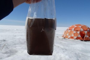 Una de las muestras, aparentemente agua sucia, está llena de virus gigantes y algas que oscurecen el hielo.