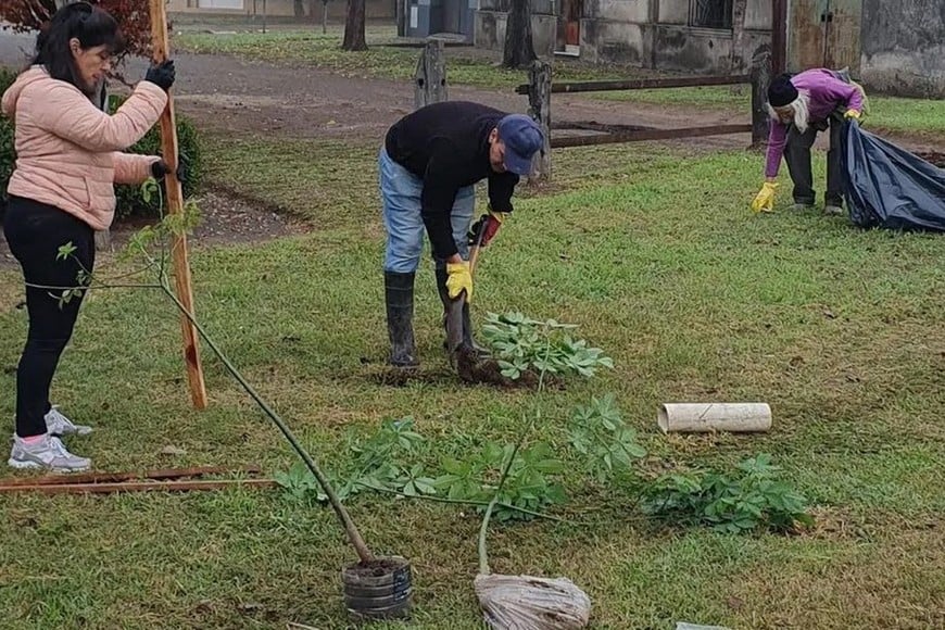 Foto: Gentileza Vía Verde