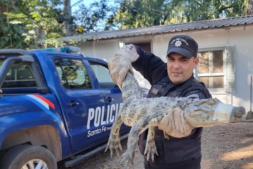 Realizan patrullajes en prevención de delitos y contravenciones.