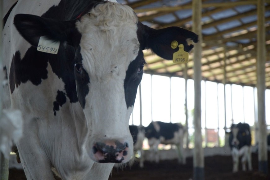 Imagen ilustrativa. Crédito: Archivo El Litoral