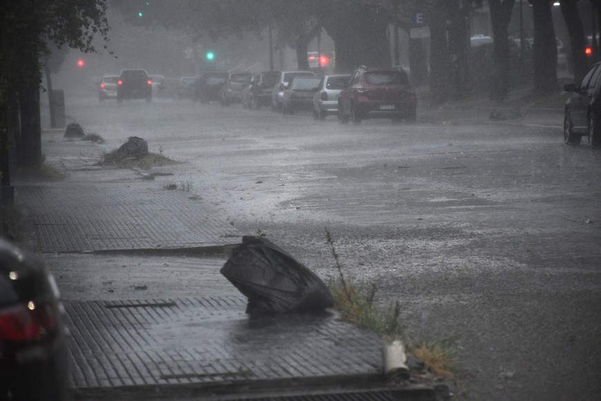 Imagen ilustrativa. Crédito: Flavio Raina