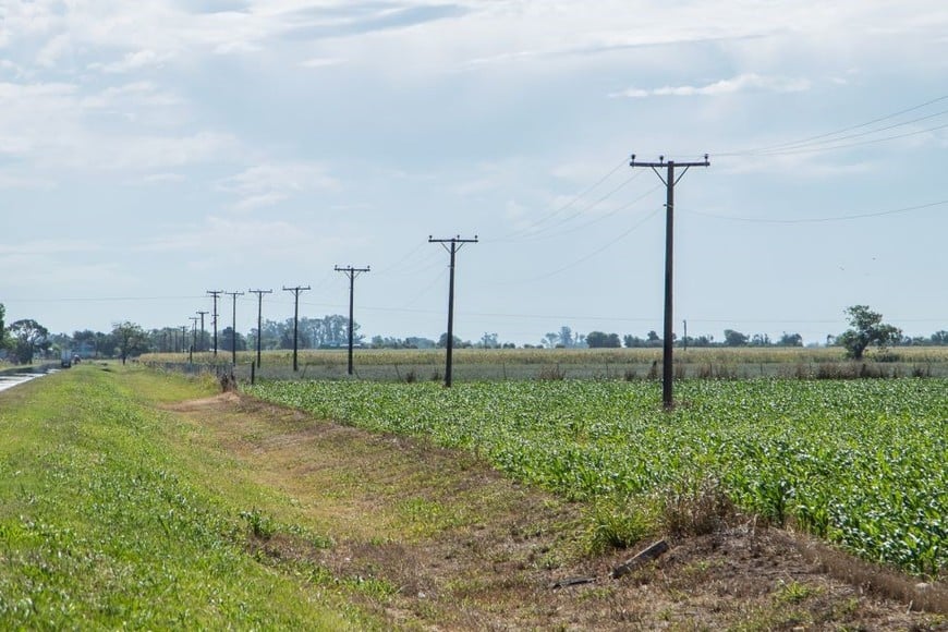 Se podrá aplicar en centros urbanos con menos de tres mil habitantes que carezcan de energía eléctrica, o donde sea deficiente el servicio.