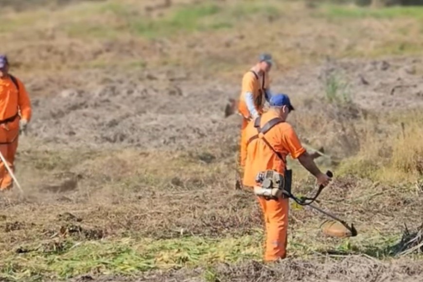 En cuanto a la limpieza y mantenimiento de espacios verdes, desde el Ejecutivo local manifestaron que se están realizando tareas de poda, limpieza y mantenimiento de todos los espacios del circuito, incluyendo el retiro de malezas y residuos acumulados en el sector del reservorio.