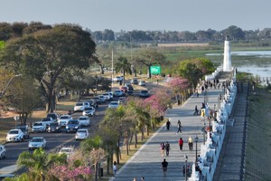 Investigadores de Reino Unido e Israel demostraron cómo la simple observación de elementos naturales durante paseos urbanos puede beneficiar la salud mental. Foto: Fernando Nicola/Archivo