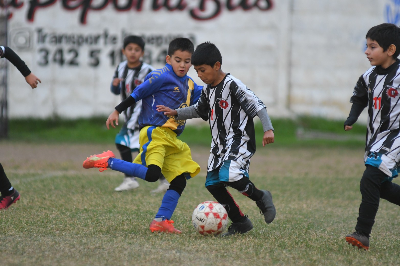 Fútbol Infantil. El Lobito de Gimnasia y Esgrima de Ciudadela. Cuatro días de fútbol infantil se vivieron en el Gigante de Ciudadela. Más de 1000 niños y un gran marco de público le dieron color a jornadas inolvidables.  Pasión Liga de Diario El Litoral presente en los grandes eventos de nuestros niños.