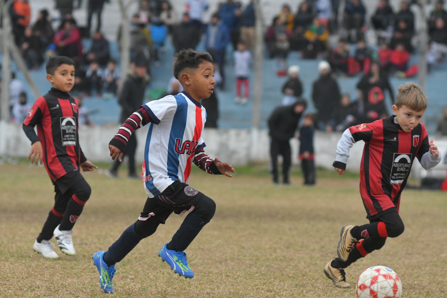 Fútbol Infantil. El Lobito de Gimnasia y Esgrima de Ciudadela. Cuatro días de fútbol infantil se vivieron en el Gigante de Ciudadela. Más de 1000 niños y un gran marco de público le dieron color a jornadas inolvidables.  Pasión Liga de Diario El Litoral presente en los grandes eventos de nuestros niños.