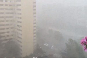 Un temporal azotó Madrid este martes.