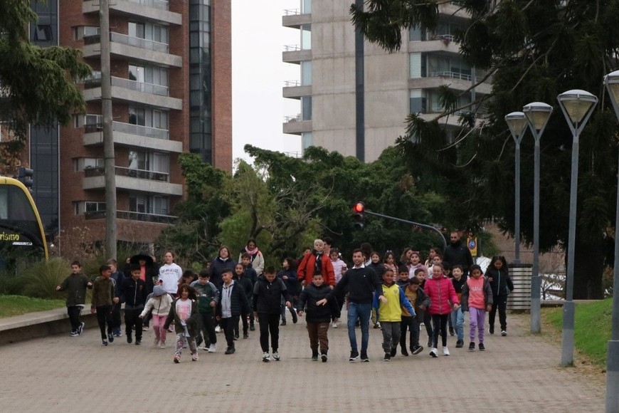 Con eje en la conservación y el intercambio de saberes, se impulsa una articulación con programas y áreas provinciales, potenciando la relación con el sector productivo y el desarrollo sostenible como motor de crecimiento regional.
