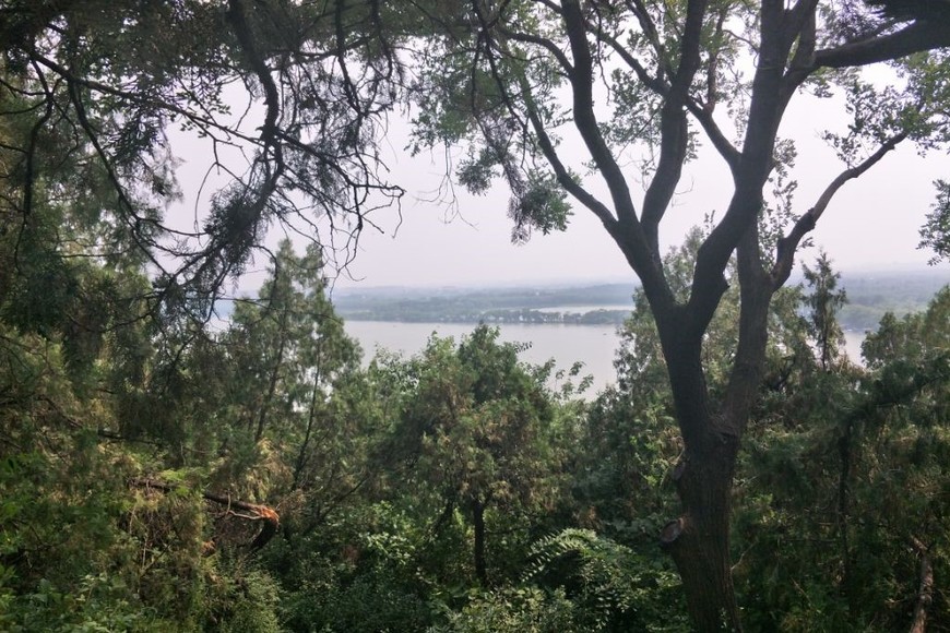 En muchas regiones, los bosques representan hasta el 20% de los ingresos de los hogares rurales. Gentileza. 